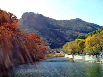 澳门天天免费精准大全，导电银浆厂家